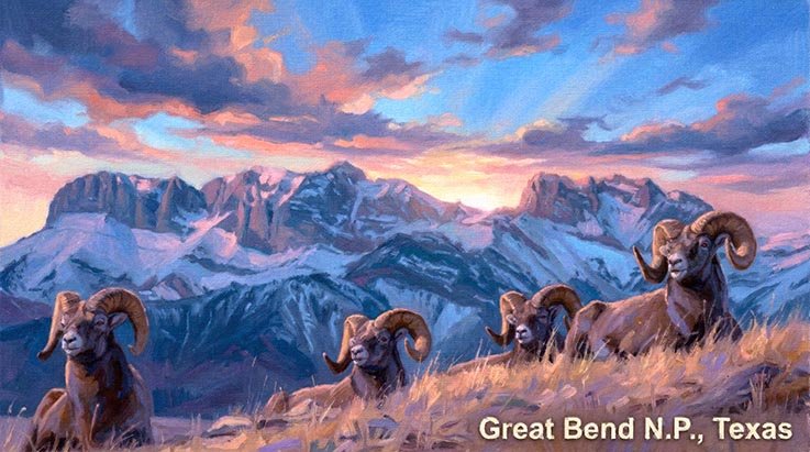 Bighorn Sheep in Big Bend N.P., TX